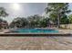 Community pool surrounded by lush trees, lounge chairs, and shade umbrellas at 1827 Foxboro Ct, Oldsmar, FL 34677