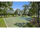 Community basketball court surrounded by tall pine trees, offering a shaded recreational area for residents to enjoy at 19209 Long Lake Ranch Blvd, Lutz, FL 33558