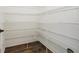 Walk-in pantry featuring multiple shelves and wood-look flooring at 19209 Long Lake Ranch Blvd, Lutz, FL 33558
