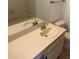 Bathroom vanity with sink, faucet and toilet at 1922 Blue Sage Ct, Brandon, FL 33511