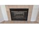 The fireplace is surrounded by neutral tile and a metal enclosure at 1922 Blue Sage Ct, Brandon, FL 33511