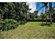 Spacious backyard with lush green grass, mature trees, and a privacy fence at 3411 Glossy Ibis Ct, Palm Harbor, FL 34683