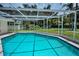 Screened in pool with clear blue water and a lush green backyard surrounded by mature trees at 3411 Glossy Ibis Ct, Palm Harbor, FL 34683