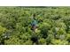 Breathtaking aerial view of a river meandering through a dense, green forest at 34147 Ringwalt Dr, Dade City, FL 33523