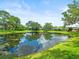Picturesque pond with clear reflections, surrounded by lush greenery, creating a peaceful outdoor setting at 4118 Carrollwood Village Dr, Tampa, FL 33618