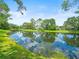 Scenic view of a tranquil pond reflecting the sky and trees, enhancing the backyard's natural beauty at 4118 Carrollwood Village Dr, Tampa, FL 33618