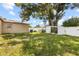 A green backyard with grass, a fence, and a large tree at 525 38Th S St, St Petersburg, FL 33711