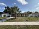 Charming single-story home with a well-manicured lawn and a large palm tree in the front yard at 7206 Reindeer Rd, Tampa, FL 33619