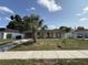 Charming single-story home with a well-manicured lawn and a large palm tree in the front yard at 7206 Reindeer Rd, Tampa, FL 33619