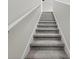 Carpeted stairway with white handrail leading upwards in a neutrally painted home at 81 Rain Lily Ave, Spring Hill, FL 34609