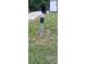 Exterior shot showing a weathered mailbox with visible street numbers, set amidst overgrown grass at 12704 Lacey, New Port Richey, FL 34654