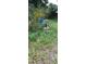 Exterior shot of a property's water system, showing the pump and tank amid lush, overgrown greenery at 12704 Lacey, New Port Richey, FL 34654