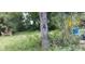 A lush, overgrown yard with a water system, showcasing the natural surroundings of the property at 12704 Lacey, New Port Richey, FL 34654