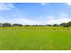 Community golf driving range featuring manicured grass and equipment stands, perfect for practice at 1306 Idlewood Dr # 53, Sun City Center, FL 33573