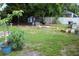 A backyard with grass, a planted tree, a covered patio area, and a white fence providing privacy at 2058 Dodge St, Clearwater, FL 33760