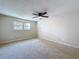 Spacious bedroom with neutral carpet, a ceiling fan, and a large window offering natural light at 4030 Braesgate Ln, Tampa, FL 33624