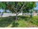 Spacious backyard with lush greenery and mature trees, perfect for outdoor enjoyment at 5401 7Th N Ave, St Petersburg, FL 33710