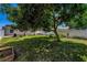 Lush backyard featuring a mature tree and a white privacy fence at 5401 7Th N Ave, St Petersburg, FL 33710
