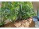 Tropical landscaping adds privacy and beauty to the backyard of this home at 8200 31St N Ter, St Petersburg, FL 33710