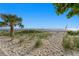 Picturesque beach view with a single palm tree, lush greenery, and a clear horizon under a bright blue sky at 20060 Gulf Blvd, Indian Shores, FL 33785