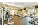Community fitness center with modern cardio and strength training equipment, and natural light at 11125 Shelter Cove Loop, New Port Richey, FL 34654