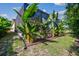 Screened pool and tropical landscaping create a private, relaxing backyard oasis at 11125 Shelter Cove Loop, New Port Richey, FL 34654