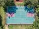 Aerial view of community tennis and pickleball courts, with green space and mature trees at 11125 Shelter Cove Loop, New Port Richey, FL 34654