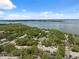 Expansive aerial view of a neighborhood with lush trees, highlighting the community's appeal at 1136 Thayer St, Safety Harbor, FL 34695