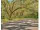 Street lined with mature trees, with a canopy overhead that provides plenty of shade at 1136 Thayer St, Safety Harbor, FL 34695