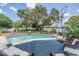 Private backyard oasis featuring a sparkling pool, lush greenery, and a cozy lounge area at 1403 Tallahassee Dr, Tarpon Springs, FL 34689