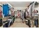 Organized walk-in closet with shelving, hanging rods, and a variety of clothing at 1810 Tamerlane Pl, Brandon, FL 33510