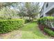 Lush backyard featuring mature trees and well-maintained landscaping at 2020 Greenwood Valley Dr, Plant City, FL 33563