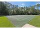Outdoor basketball court with green surface surrounded by trees, promoting an active community lifestyle at 25950 Risen Star Dr, Wesley Chapel, FL 33544