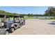 A row of golf carts sits ready by a lake at a lush community course, offering leisure and recreation at 25950 Risen Star Dr, Wesley Chapel, FL 33544