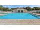 Community pool featuring a clear blue pool with surrounding lounge area and manicured greenery at 25950 Risen Star Dr, Wesley Chapel, FL 33544