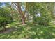 Expansive backyard featuring a large tree and well-maintained lawn at 2850 Doone Cir, Palm Harbor, FL 34684