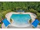 Aerial view of the community swimming pool with shaded areas and lounge chairs surrounded by palm trees at 2903 Cordoba Ranch Blvd, Lutz, FL 33559