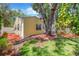Charming yellow home featuring mature landscaping, red mulch, and privacy fence at 3129 W Villa Rosa St, Tampa, FL 33611