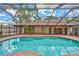 Enclosed pool area with screened enclosure, brick patio and access to the home's interior at 3923 Hudson Ln, Tampa, FL 33618