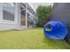 Artificial turf backyard with dog run and covered back porch at 4147 Grandchamp Cir, Palm Harbor, FL 34685