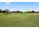View of a green golf course and pond at 4147 Grandchamp Cir, Palm Harbor, FL 34685