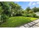 Green backyard featuring lush green grass, mature trees, and a walkway along the edge at 5816 S 3Rd St, Tampa, FL 33611