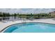 Community pool with pool-side furniture offering a relaxing view of the lush pond behind the fence at 6231 Olivedale Dr, Riverview, FL 33578
