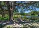 Enjoy the outdoors with a picnic table under a large oak tree with lake view at 917 W Idlewild Ave, Tampa, FL 33604