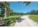 Picturesque walking path surrounded by lush greenery and serene lake views at 917 W Idlewild Ave, Tampa, FL 33604