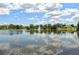 Picturesque lake with a fountain surrounded by lush green trees and blue skies at 12038 Steppingstone Blvd, Tampa, FL 33635