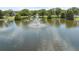 Beautiful lake featuring a fountain surrounded by green trees on a partly cloudy sunny day at 12038 Steppingstone Blvd, Tampa, FL 33635