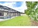 Lush backyard with a screened-in pool, complemented by mature trees, creating a serene outdoor space at 13118 Payton St, Odessa, FL 33556