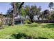 Spacious backyard featuring a pool, tire swing, and a playground, great for outdoor fun at 1402 Provincetown Cir, Lutz, FL 33549
