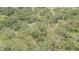 Large, heavily wooded lot featuring various mature trees at 18110 30Th St, Lutz, FL 33559